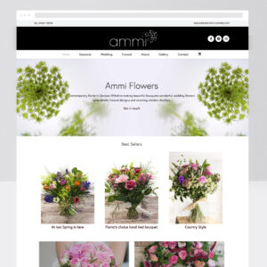 Web Designer, Custom Web Design