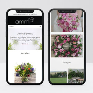 Web Designer, Custom Web Design