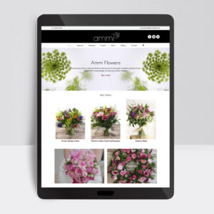 Web Designer, Custom Web Design