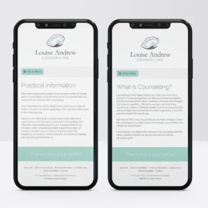 Web Designer, Custom Web Design