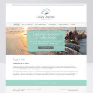 Web Designer, Custom Web Design