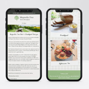 Web Designer, Custom Web Design