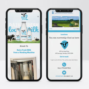 Web Designer, Custom Web Design
