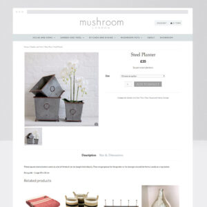 Web Designer, Custom Web Design