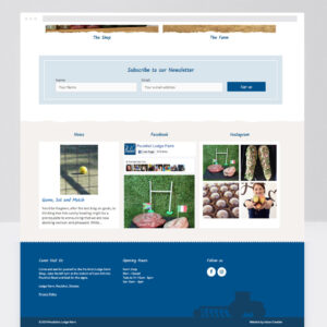 Web Designer, Custom Web Design
