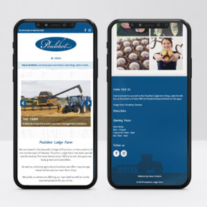 Web Designer, Custom Web Design