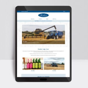 Web Designer, Custom Web Design