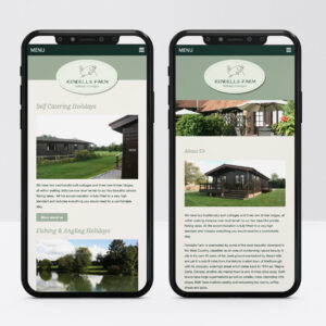Web Designer, Custom Web Design