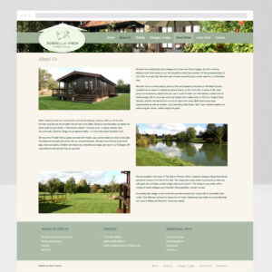 Web Designer, Custom Web Design