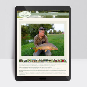 Web Designer, Custom Web Design