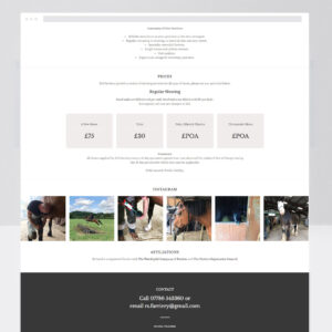 Web Designer, Custom Web Design