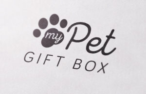 Logo Designer, Custom Logo Design