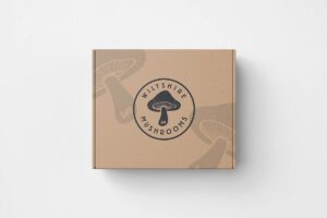 Logo Designer, Custom Logo Design