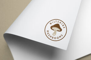 Logo Designer, Custom Logo Design