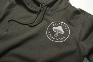 Logo Designer, Custom Logo Design
