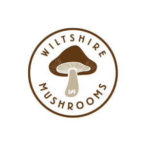 Logo Designer, Custom Logo Design