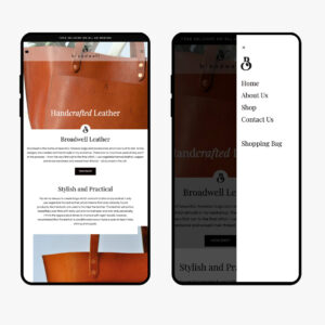 Web Designer, Custom Web Design