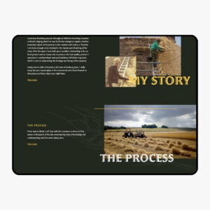 Web Designer, Custom Web Design