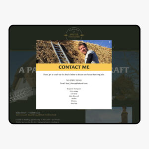 Web Designer, Custom Web Design