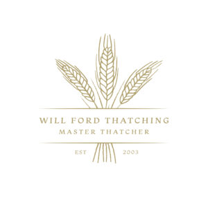Logo Designer, Custom Logo Design