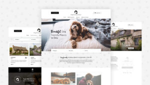 Graphic Design, Web Design, Logo Design Studio, Market Lavington, Wiltshire